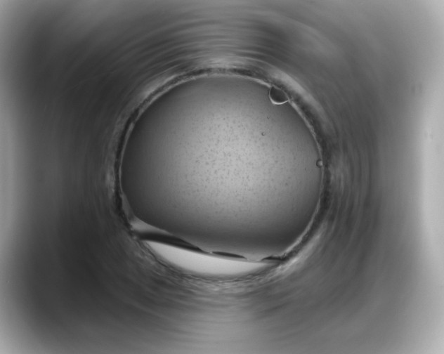 X0000088381025200706051056