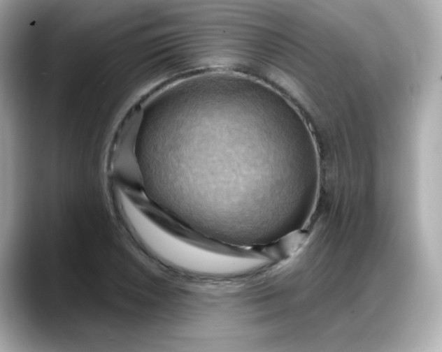 X0000088381026200706051056