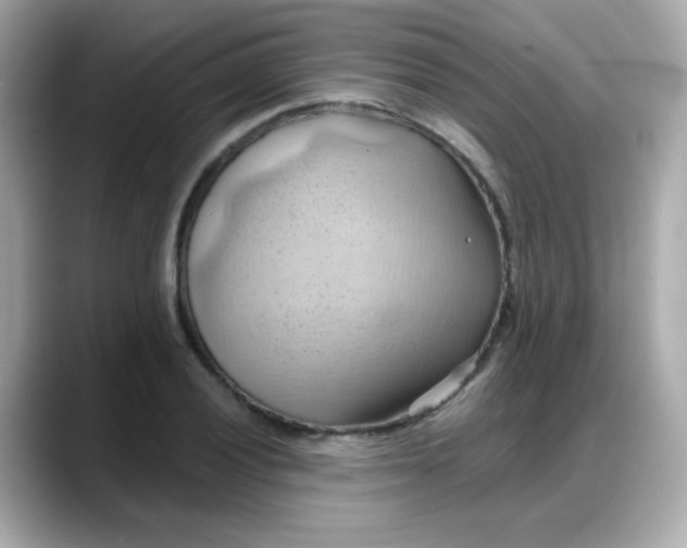 X0000088381028200706051056
