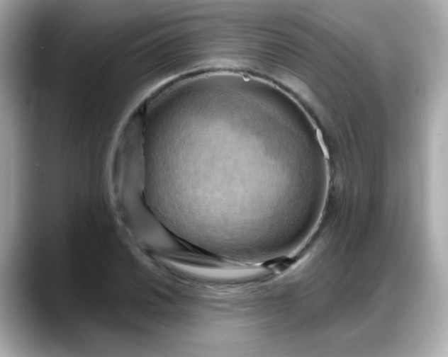 X0000088381030200706051056
