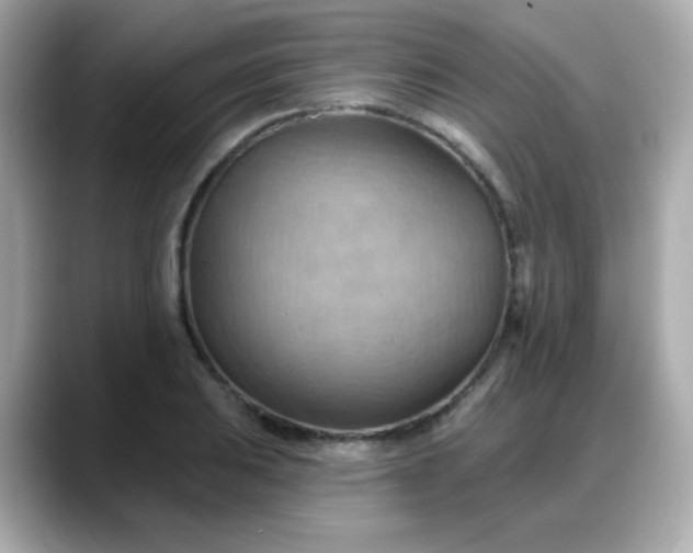 X0000088381031200706051056