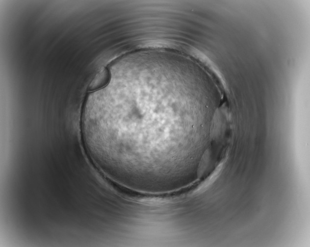 X0000088381033200706051056
