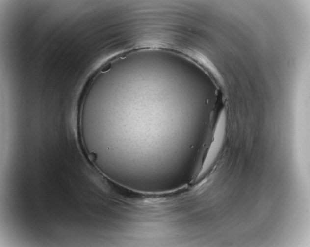 X0000088381035200706051056