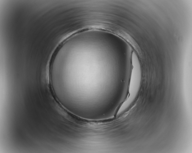 X0000088381036200706051056