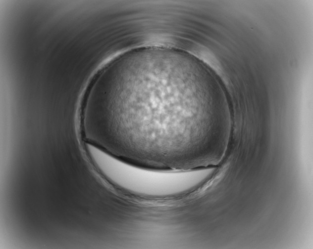 X0000088381037200706051056