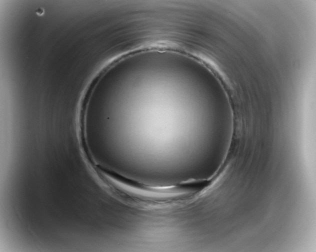 X0000088381038200706051056