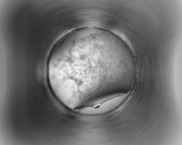 X0000088381040200706051056