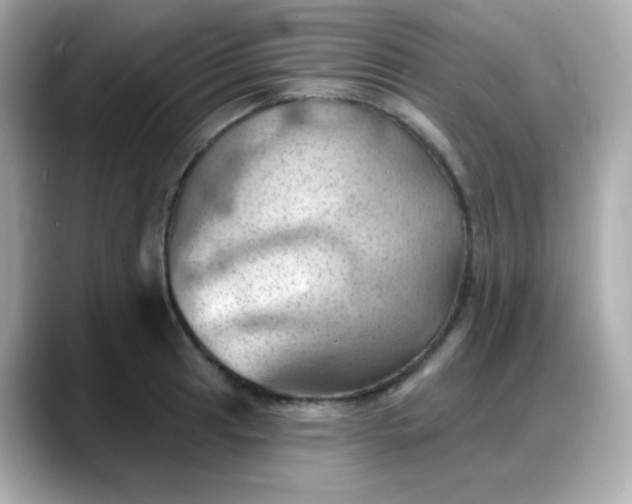 X0000088381041200706051056