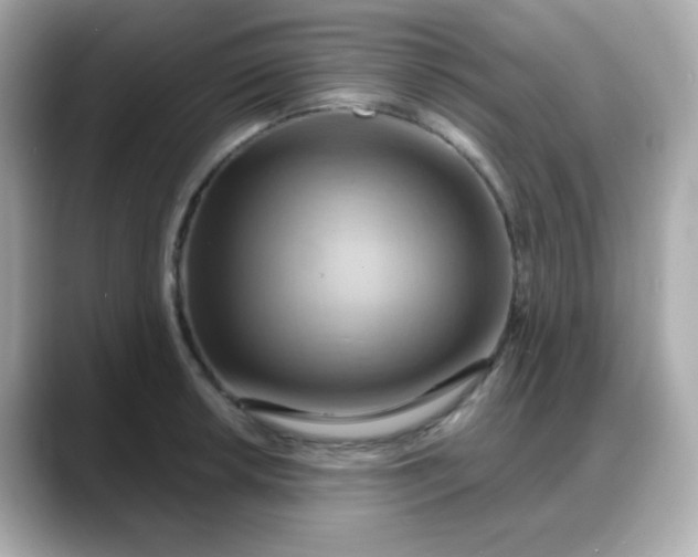 X0000088381042200706051056