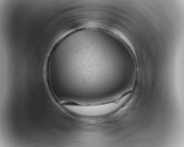 X0000088381045200706051056