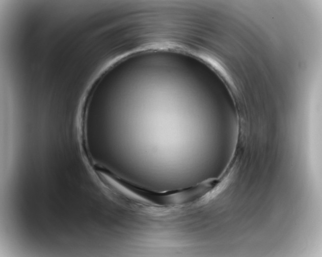 X0000088381046200706051056