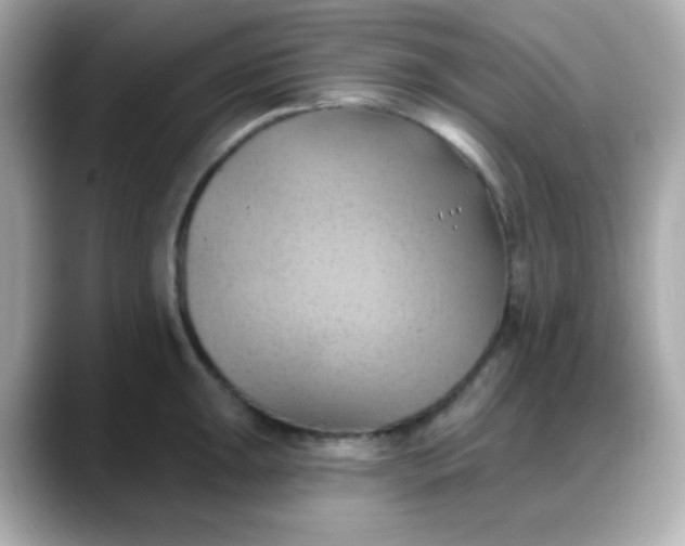 X0000088381047200706051056