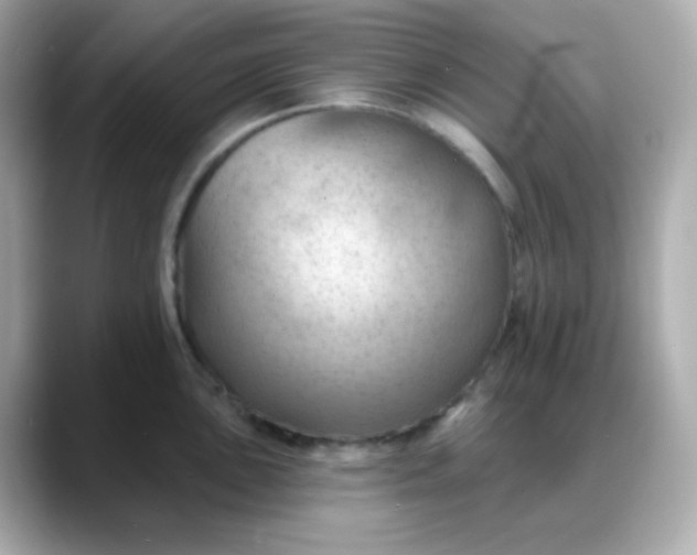 X0000088381051200706051056