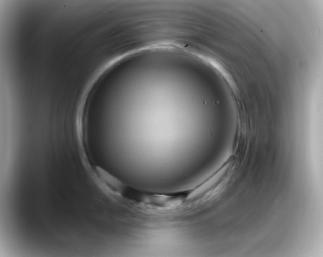 X0000088381054200706051056