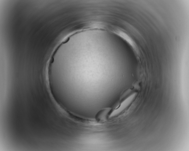 X0000088381055200706051056