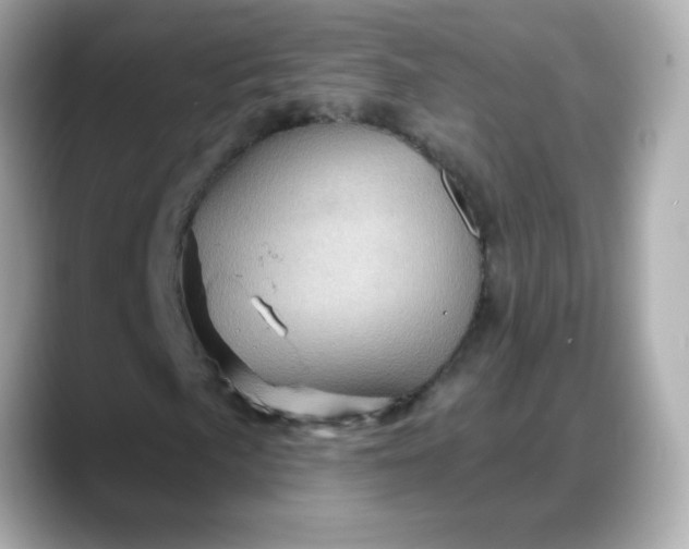 X0000088381057200706051055