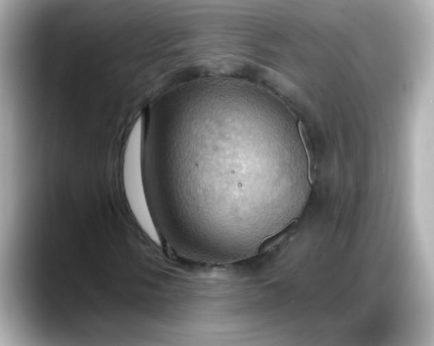 X0000088381058200706051055