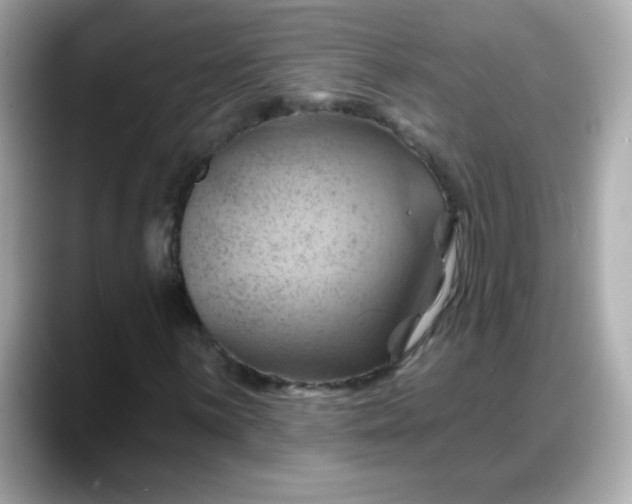 X0000088381059200706051055