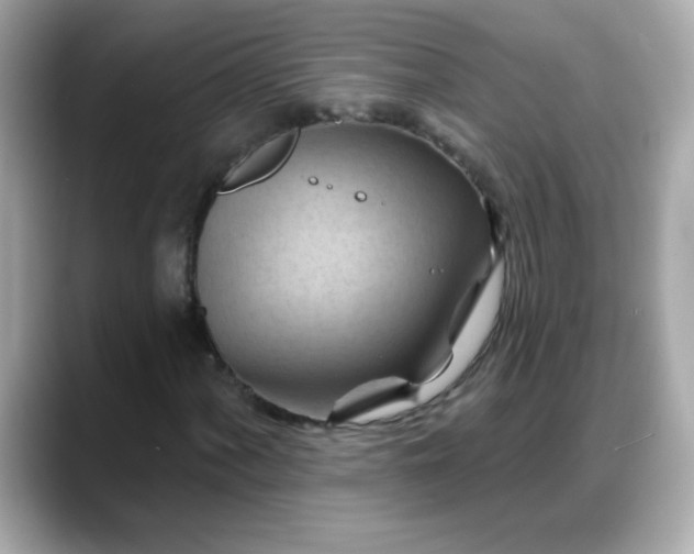X0000088381060200706051055