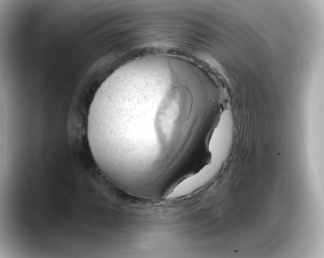 X0000088381064200706051055