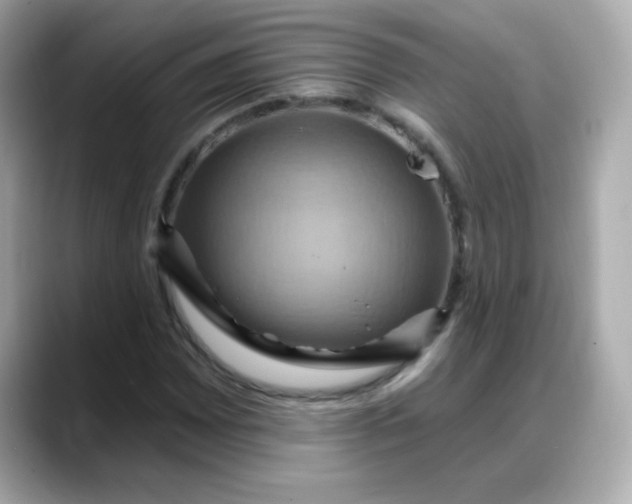 X0000088381065200706051055