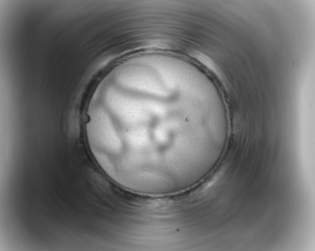 X0000088381067200706051055