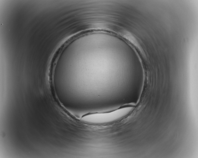X0000088381068200706051055