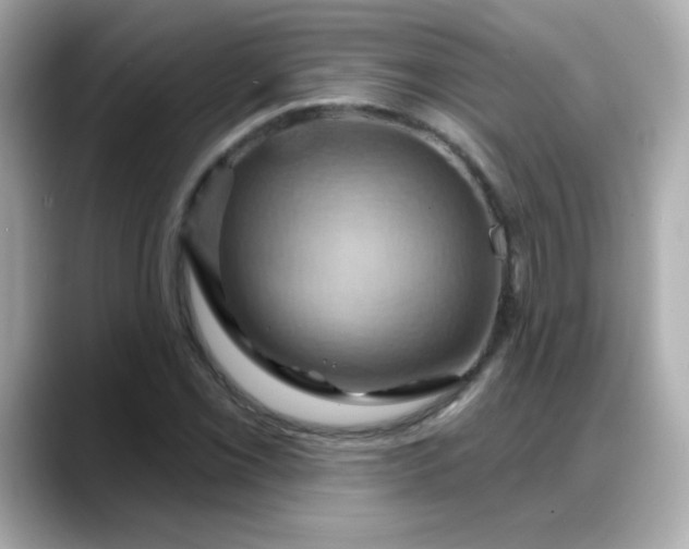 X0000088381069200706051055