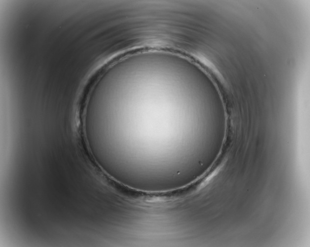 X0000088381070200706051055