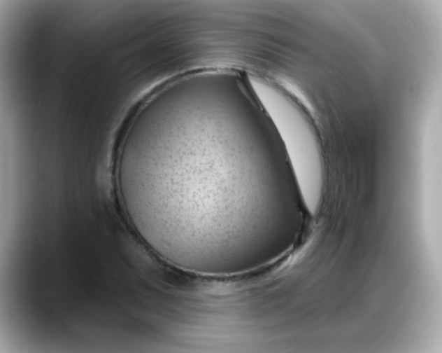 X0000088381071200706051055