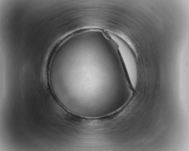 X0000088381072200706051055