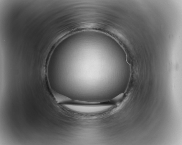 X0000088381073200706051055