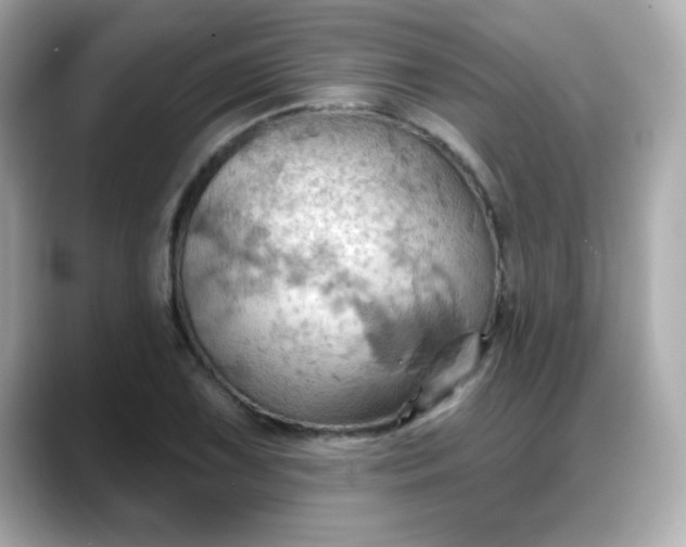 X0000088381075200706051055