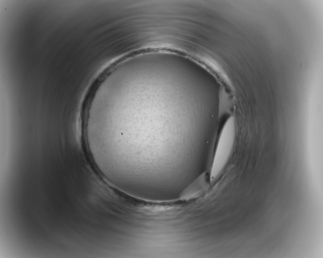 X0000088381076200706051055