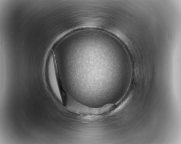 X0000088381077200706051055