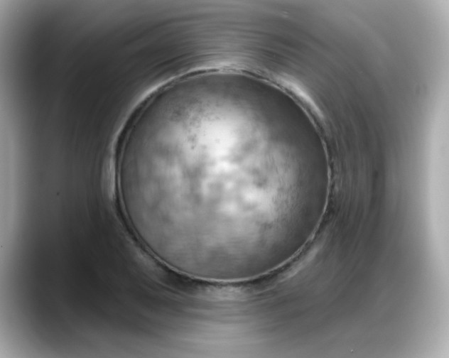 X0000088381079200706051055