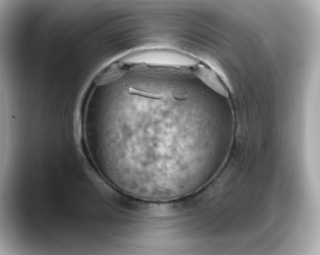 X0000088381080200706051055