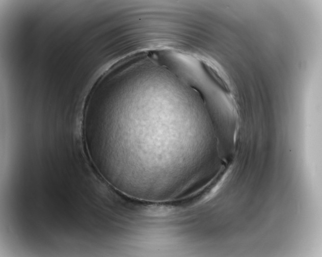 X0000088381081200706051055