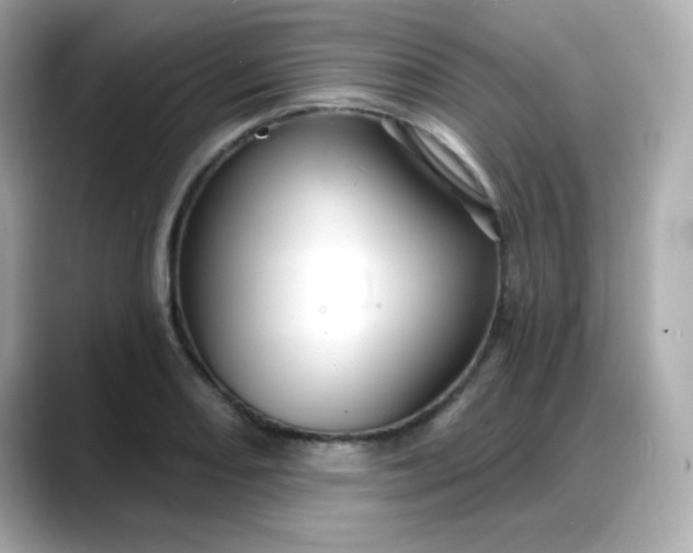 X0000088381082200706051055