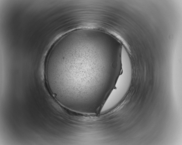 X0000088381083200706051055