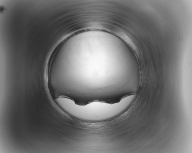 X0000088381084200706051055
