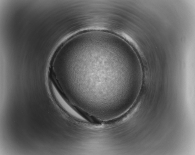 X0000088381085200706051055