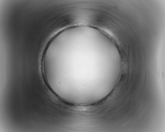 X0000088381086200706051055