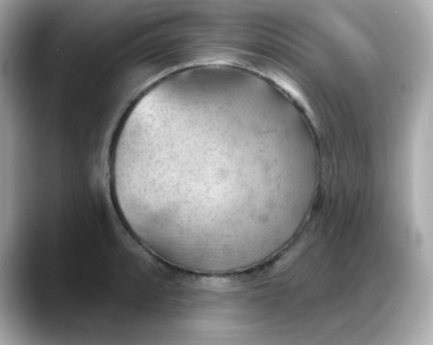 X0000088381088200706051055