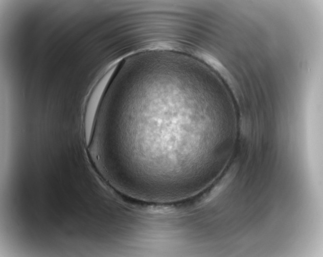 X0000088381089200706051055