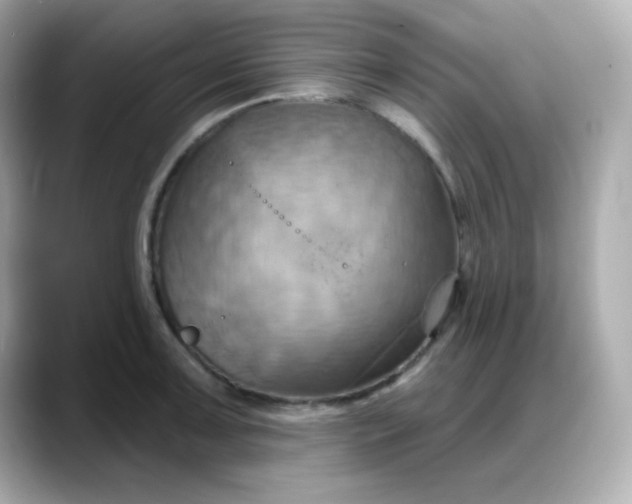 X0000088381091200706051055