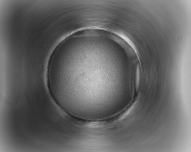 X0000088381093200706051055