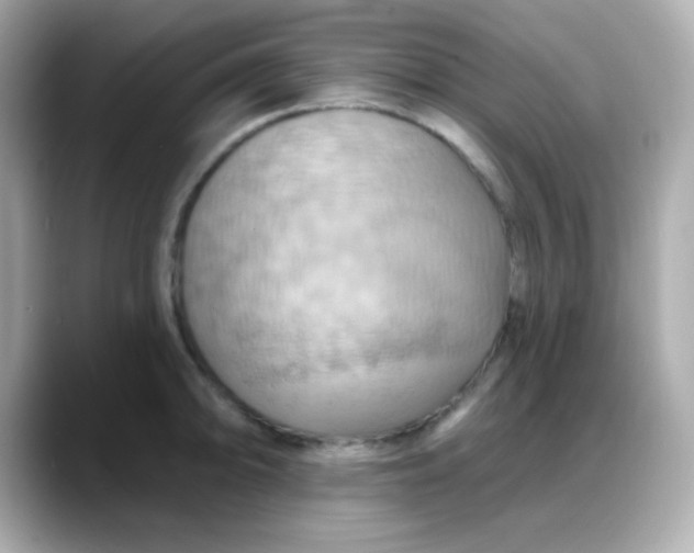 X0000088381094200706051055