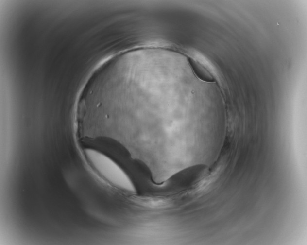 X0000088381095200706051055
