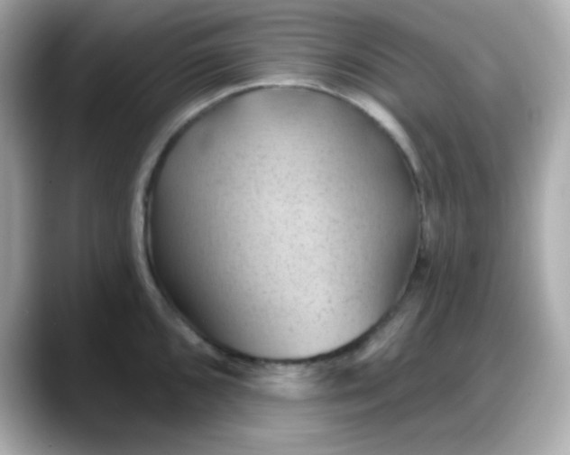 X0000088381096200706051055